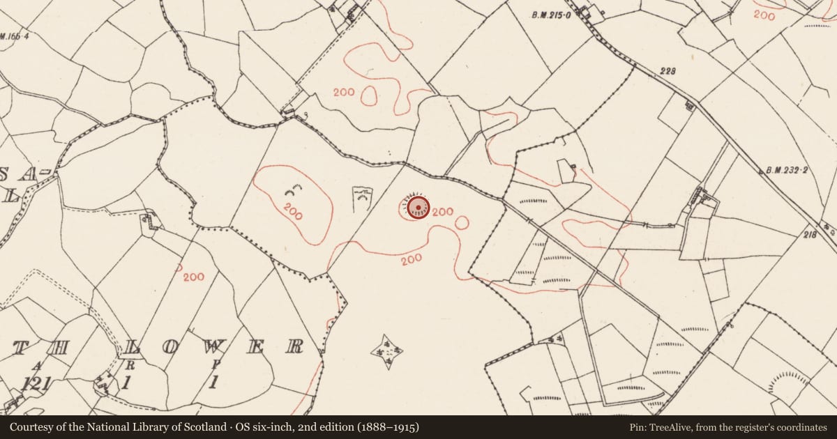 Ordnance Survey six-inch map, 2nd edition (1888–1915) covering the location of Ringfort - rath, Rath Upper, County Westmeath, with a pin at the register's coordinates