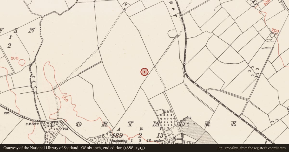 Ordnance Survey six-inch map, 2nd edition (1888–1915) covering the location of Barrow - mound barrow, Gortmore, County Westmeath, with a pin at the register's coordinates
