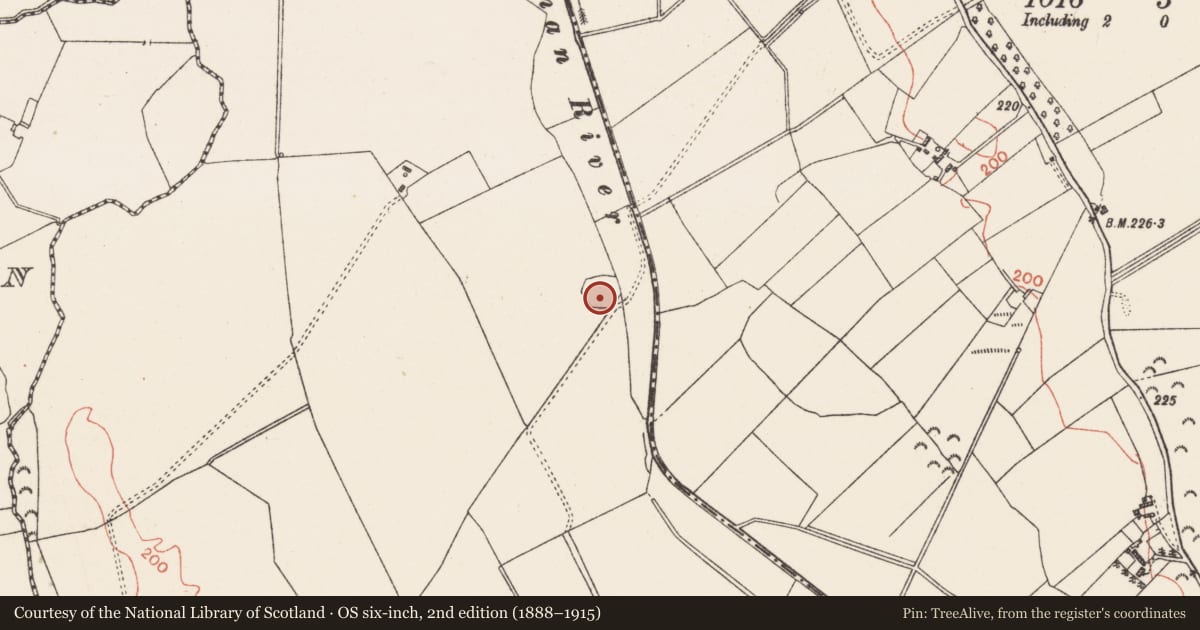 Ordnance Survey six-inch map, 2nd edition (1888–1915) covering the location of Ringfort - rath, Gortmore, County Westmeath, with a pin at the register's coordinates