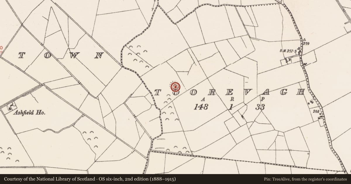 Ordnance Survey six-inch map, 2nd edition (1888–1915) covering the location of Ringfort - rath, Toorevagh, County Westmeath, with a pin at the register's coordinates