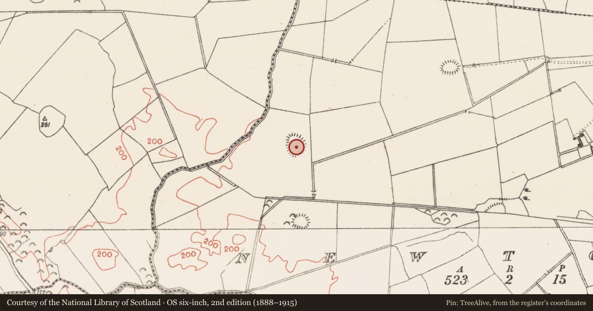 Ordnance Survey six-inch map, 2nd edition (1888–1915) covering the location of Ringfort - rath, Newtown, County Westmeath, with a pin at the register's coordinates