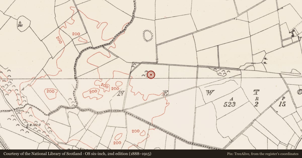 Ordnance Survey six-inch map, 2nd edition (1888–1915) covering the location of Ringfort - rath, Newtown, County Westmeath, with a pin at the register's coordinates