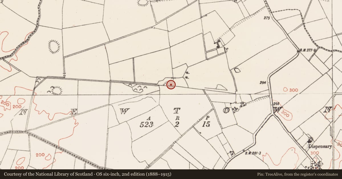 Ordnance Survey six-inch map, 2nd edition (1888–1915) covering the location of Ringfort - rath, Newtown, County Westmeath, with a pin at the register's coordinates