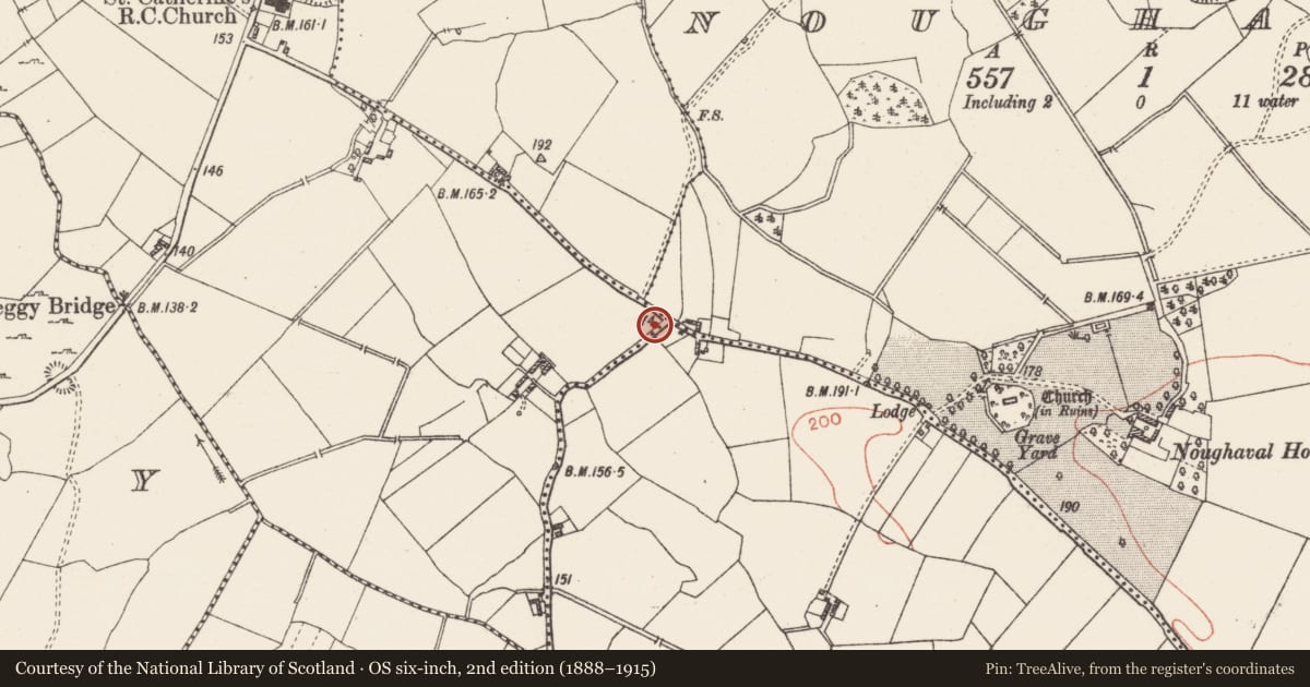 Ordnance Survey six-inch map, 2nd edition (1888–1915) covering the location of Rock art (present location), Clogher, County Westmeath, with a pin at the register's coordinates