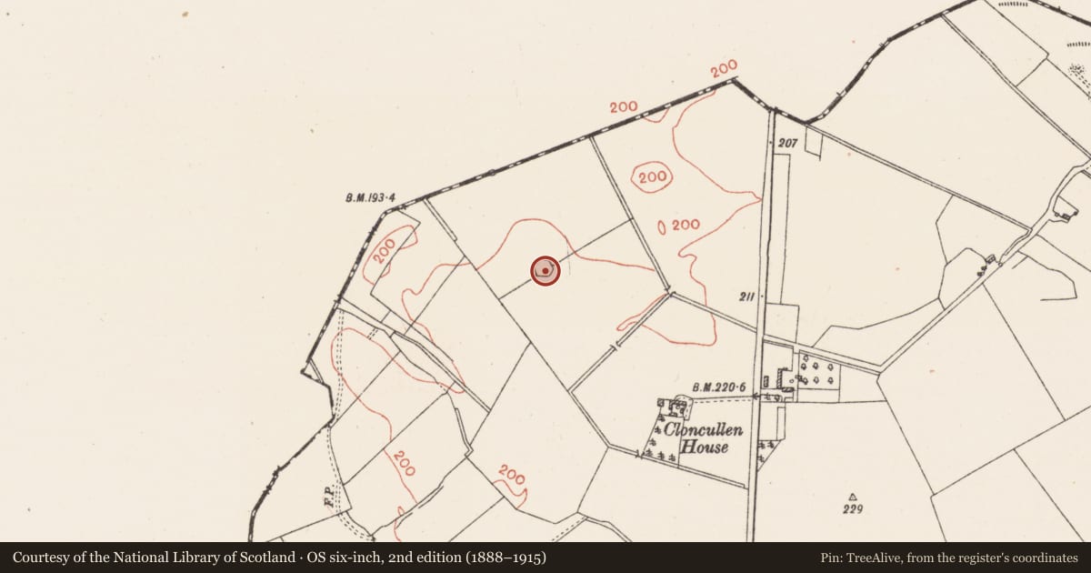 Ordnance Survey six-inch map, 2nd edition (1888–1915) covering the location of Ringfort - rath, Cloncullen, County Westmeath, with a pin at the register's coordinates
