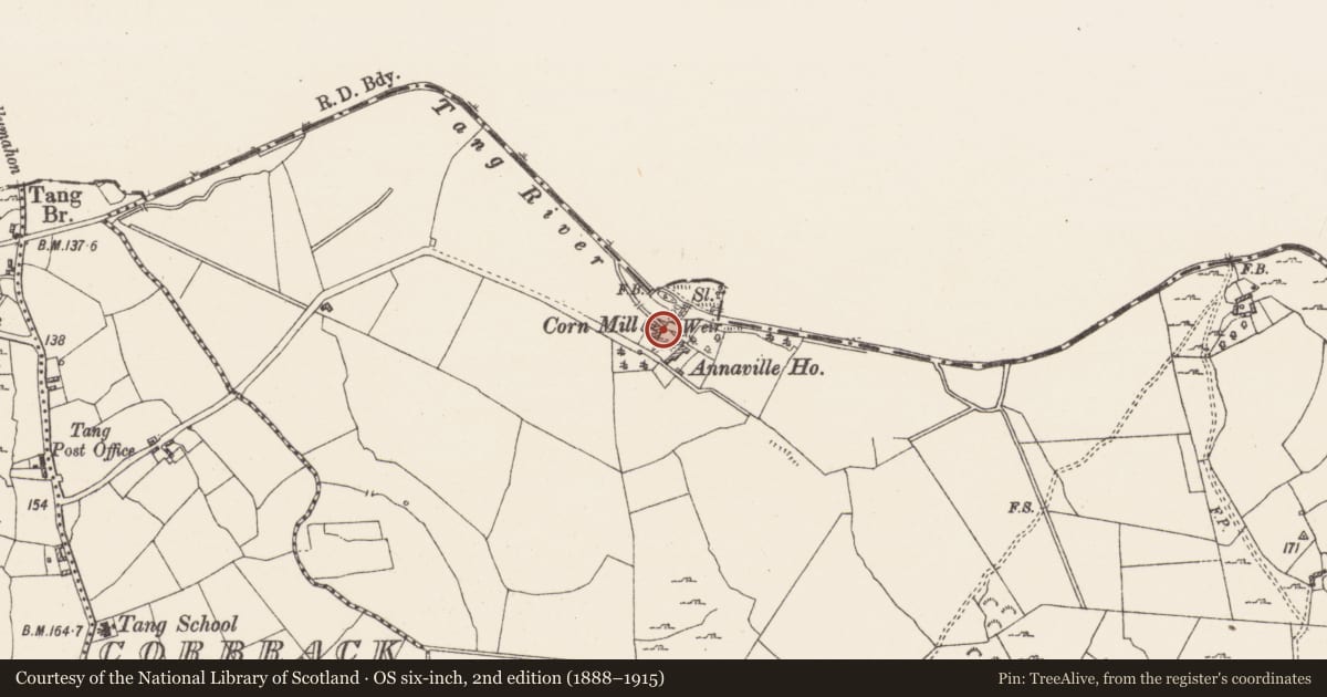 Ordnance Survey six-inch map, 2nd edition (1888–1915) covering the location of Water mill - vertical-wheeled, Noughaval, County Westmeath, with a pin at the register's coordinates