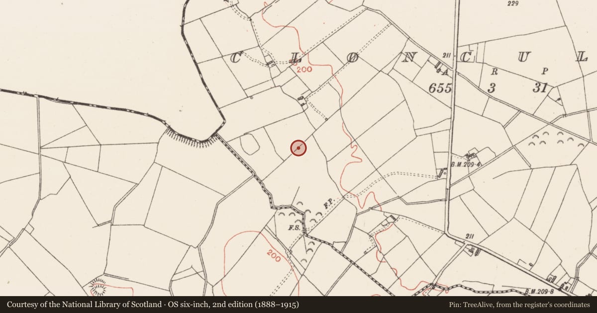 Ordnance Survey six-inch map, 2nd edition (1888–1915) covering the location of Enclosure - large enclosure, Cloncullen, County Westmeath, with a pin at the register's coordinates