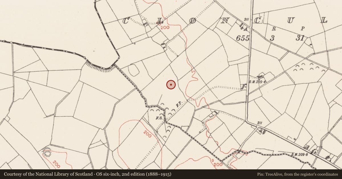Ordnance Survey six-inch map, 2nd edition (1888–1915) covering the location of Earthwork, Cloncullen, County Westmeath, with a pin at the register's coordinates