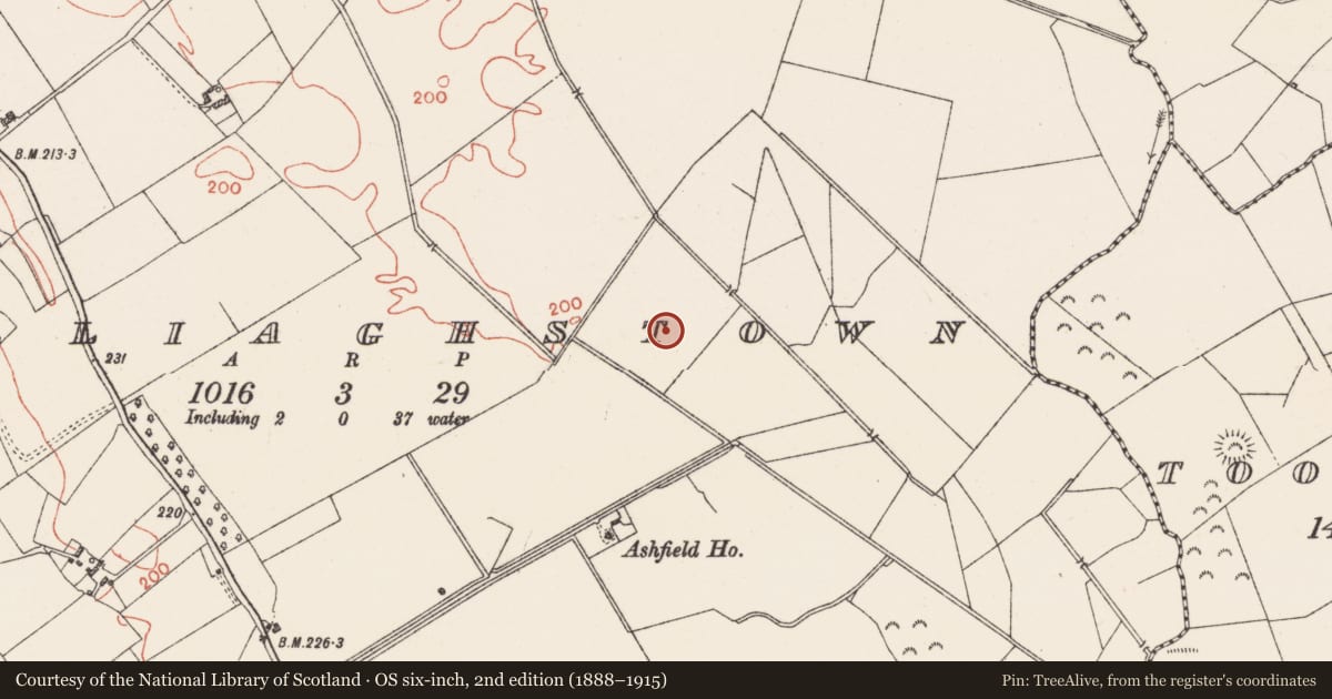 Ordnance Survey six-inch map, 2nd edition (1888–1915) covering the location of Earthwork, Calliaghstown, County Westmeath, with a pin at the register's coordinates