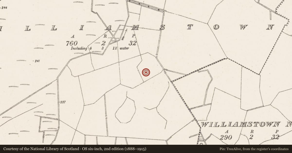 Ordnance Survey six-inch map, 2nd edition (1888–1915) covering the location of Ringfort - rath, Williamstown, County Westmeath, with a pin at the register's coordinates