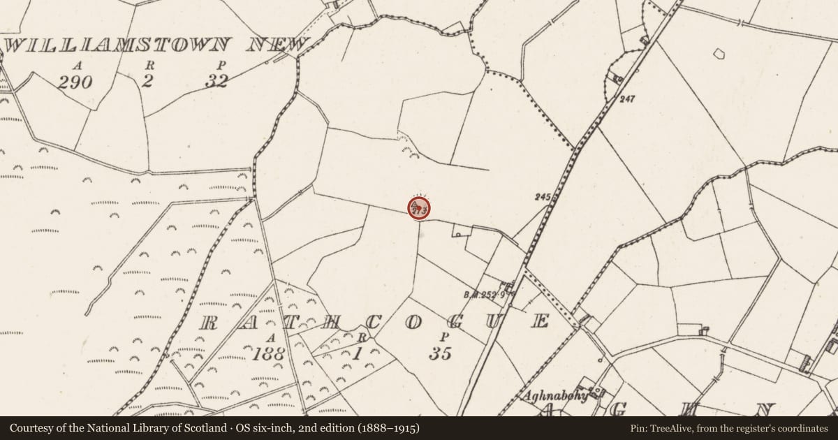 Ordnance Survey six-inch map, 2nd edition (1888–1915) covering the location of Ringfort - rath, Rathcogue, County Westmeath, with a pin at the register's coordinates