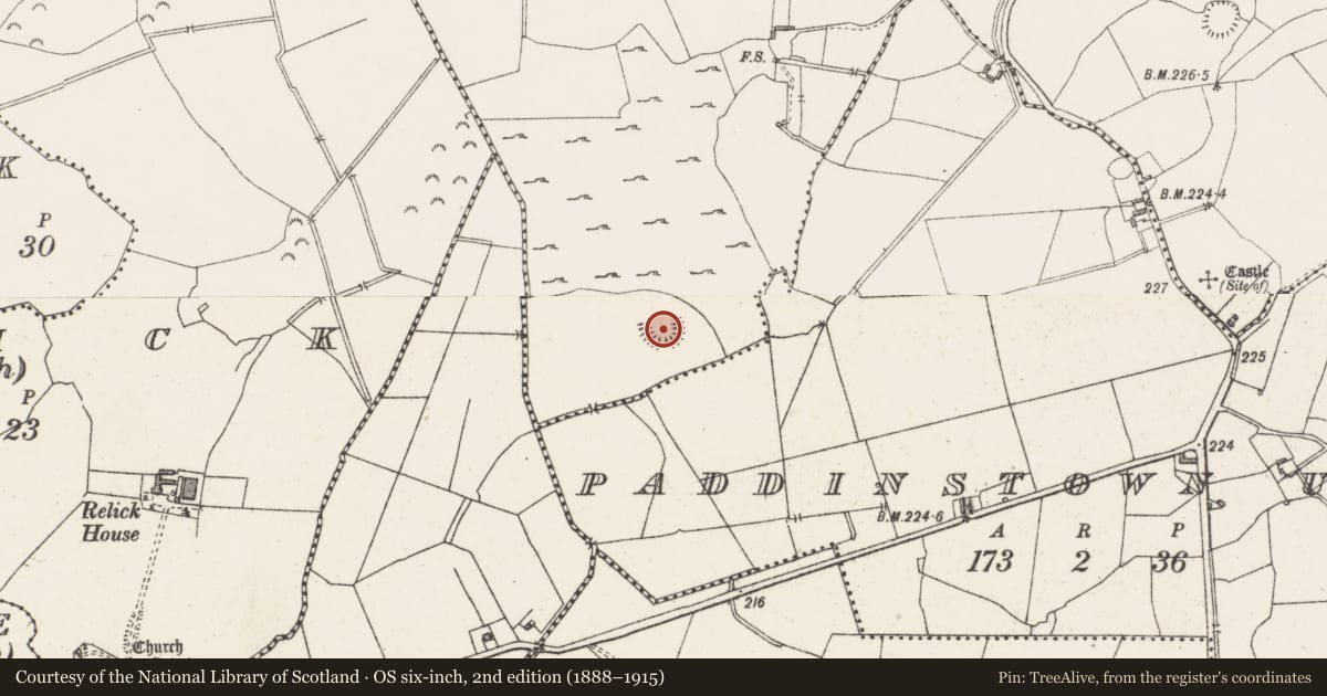 Ordnance Survey six-inch map, 2nd edition (1888–1915) covering the location of Ringfort - rath, Paddinstown Lower, County Westmeath, with a pin at the register's coordinates