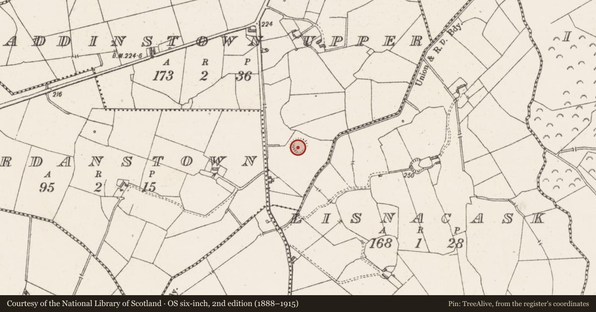 Ordnance Survey six-inch map, 2nd edition (1888–1915) covering the location of Ringfort - rath, Paddinstown Upper, County Westmeath, with a pin at the register's coordinates