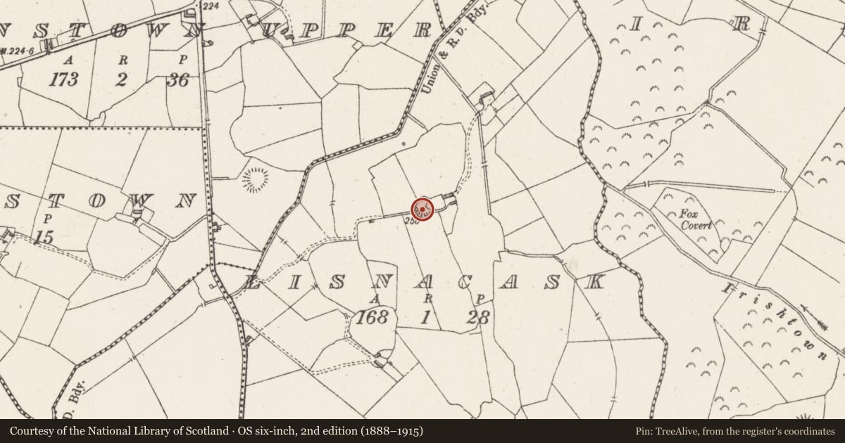 Ordnance Survey six-inch map, 2nd edition (1888–1915) covering the location of Ringfort - rath, Lisnacask, County Westmeath, with a pin at the register's coordinates