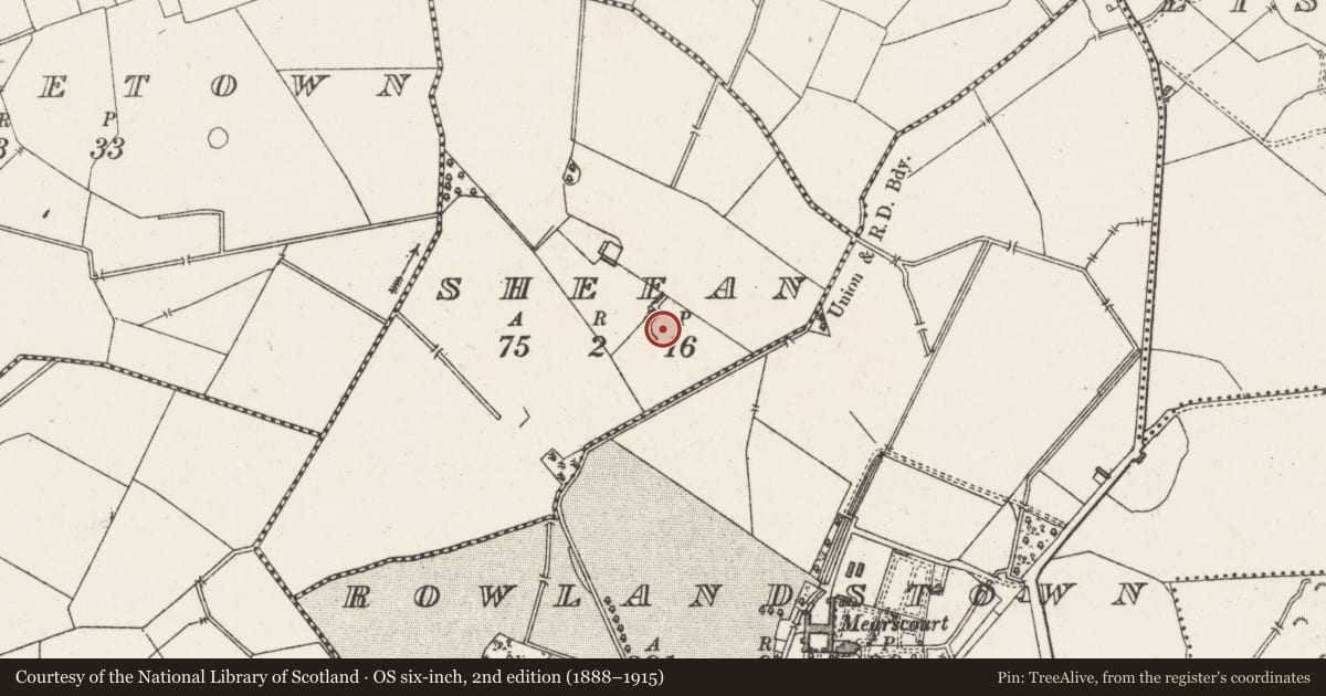 Ordnance Survey six-inch map, 2nd edition (1888–1915) covering the location of Ringfort - unclassified, Sheean, County Westmeath, with a pin at the register's coordinates