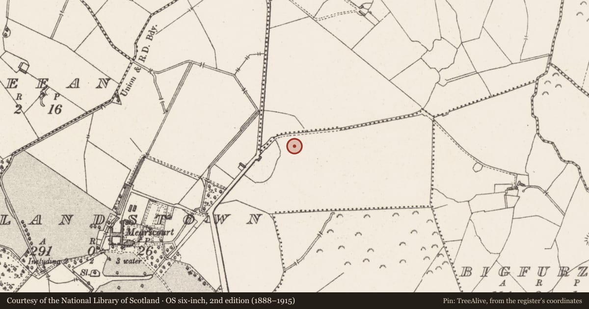 Ordnance Survey six-inch map, 2nd edition (1888–1915) covering the location of Earthwork, Rowlandstown, County Westmeath, with a pin at the register's coordinates