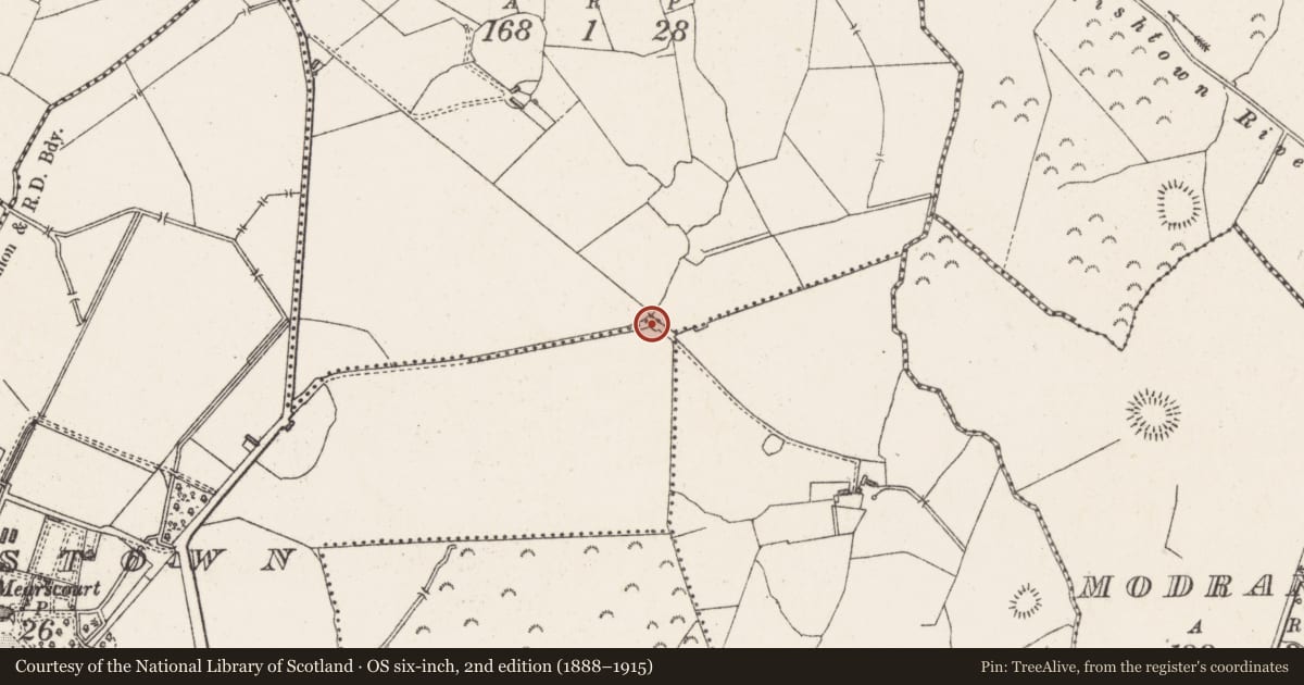Ordnance Survey six-inch map, 2nd edition (1888–1915) covering the location of Souterrain, Rowlandstown, County Westmeath, with a pin at the register's coordinates