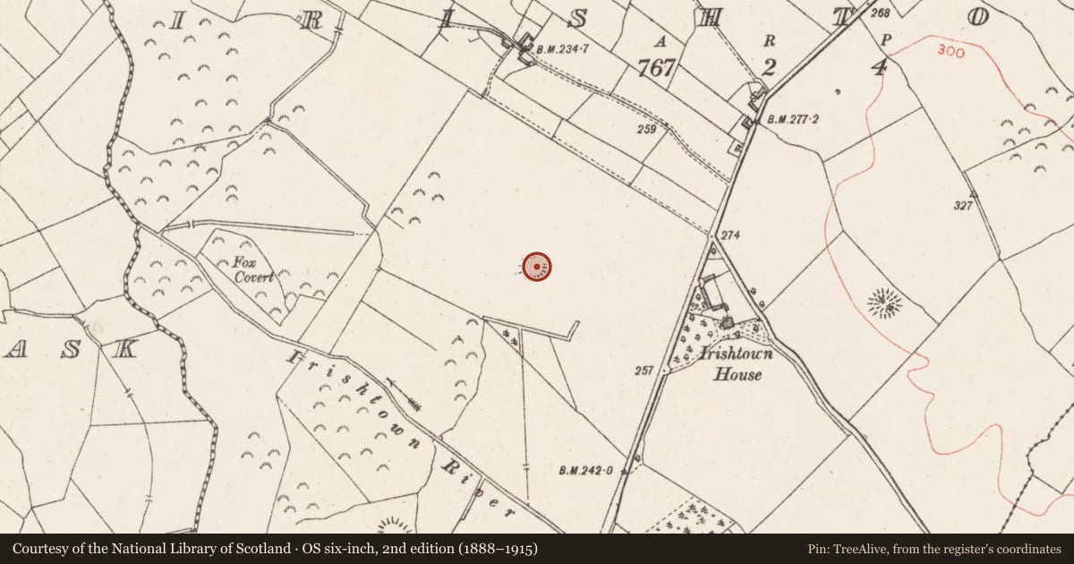 Ordnance Survey six-inch map, 2nd edition (1888–1915) covering the location of Ringfort - rath, Irishtown, County Westmeath, with a pin at the register's coordinates