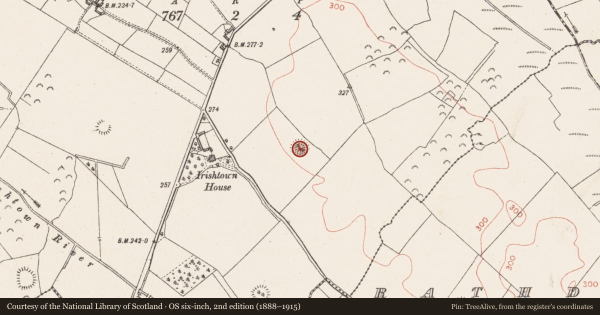 Ordnance Survey six-inch map, 2nd edition (1888–1915) covering the location of Ringfort - rath, Irishtown, County Westmeath, with a pin at the register's coordinates