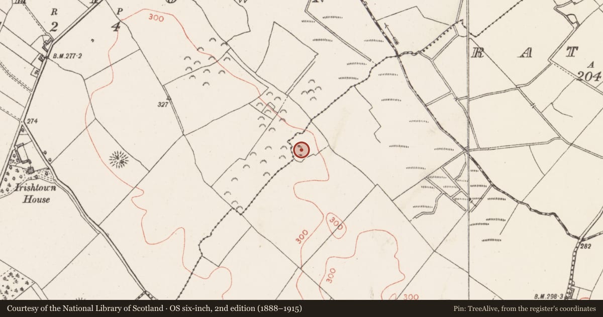 Ordnance Survey six-inch map, 2nd edition (1888–1915) covering the location of Enclosure, Rathduff, County Westmeath, with a pin at the register's coordinates