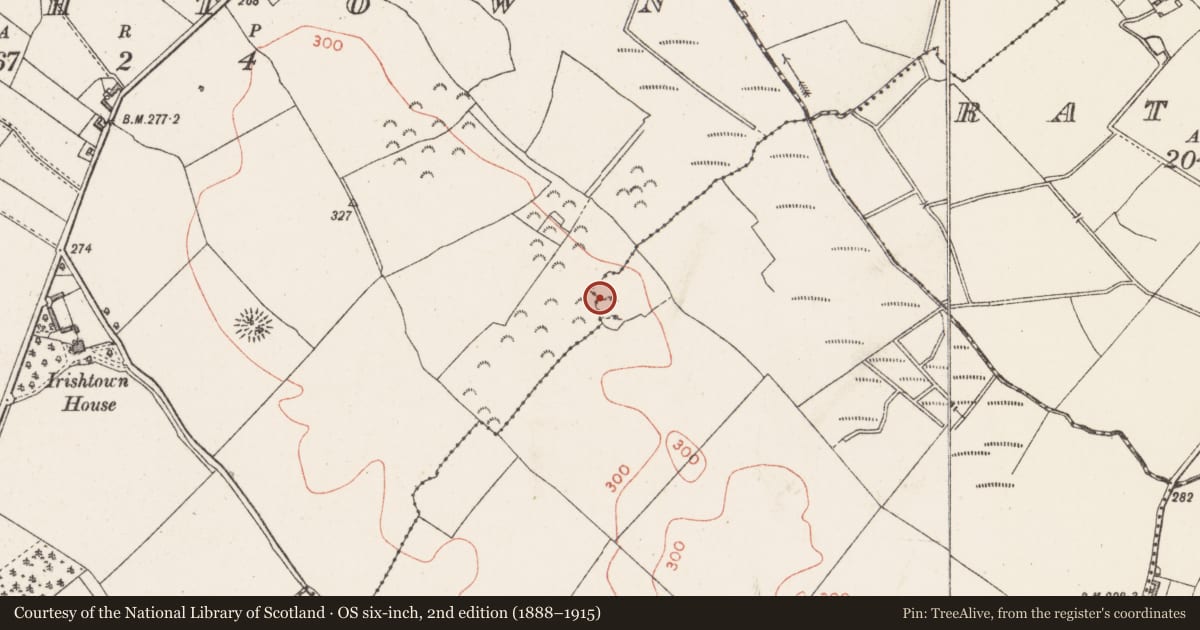 Ordnance Survey six-inch map, 2nd edition (1888–1915) covering the location of Hut site, Rathduff, County Westmeath, with a pin at the register's coordinates
