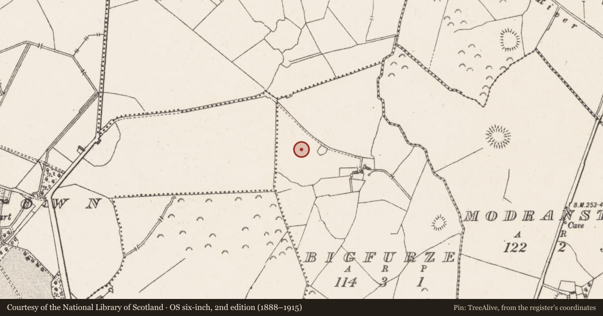 Ordnance Survey six-inch map, 2nd edition (1888–1915) covering the location of Barrow - unclassified, Bigfurze, County Westmeath, with a pin at the register's coordinates