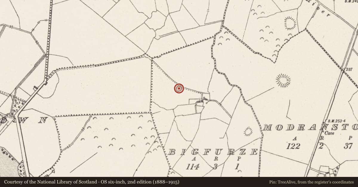 Ordnance Survey six-inch map, 2nd edition (1888–1915) covering the location of Barrow - unclassified, Bigfurze, County Westmeath, with a pin at the register's coordinates