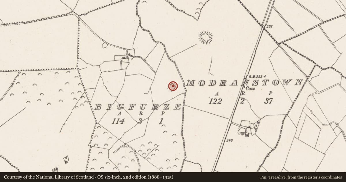 Ordnance Survey six-inch map, 2nd edition (1888–1915) covering the location of Hut site, Bigfurze, County Westmeath, with a pin at the register's coordinates