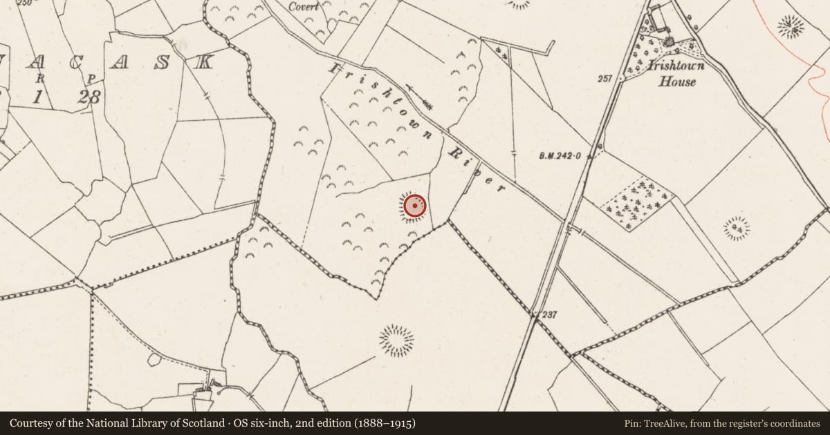 Ordnance Survey six-inch map, 2nd edition (1888–1915) covering the location of Ringfort - rath, Irishtown, County Westmeath, with a pin at the register's coordinates