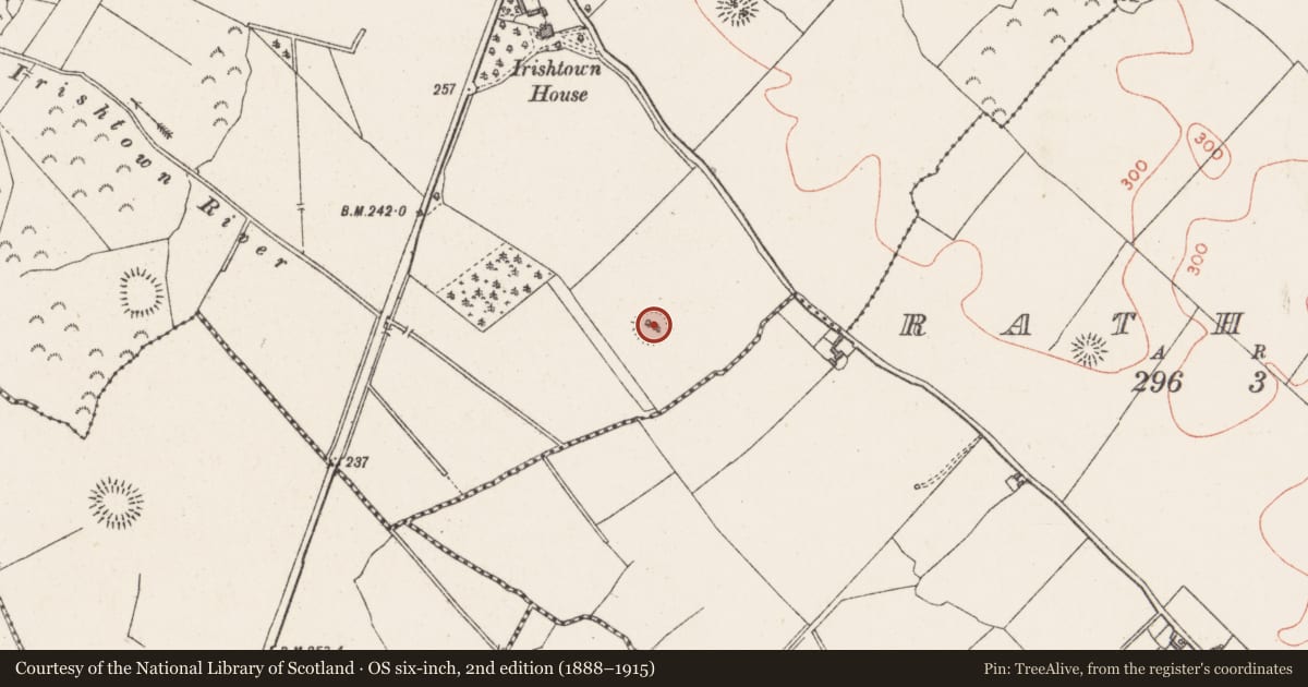 Ordnance Survey six-inch map, 2nd edition (1888–1915) covering the location of Ringfort - rath, Irishtown, County Westmeath, with a pin at the register's coordinates