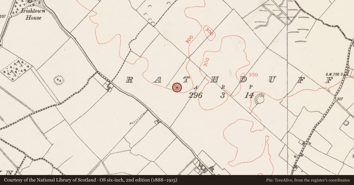 Ordnance Survey six-inch map, 2nd edition (1888–1915) covering the location of Ringfort - rath, Rathduff, County Westmeath, with a pin at the register's coordinates