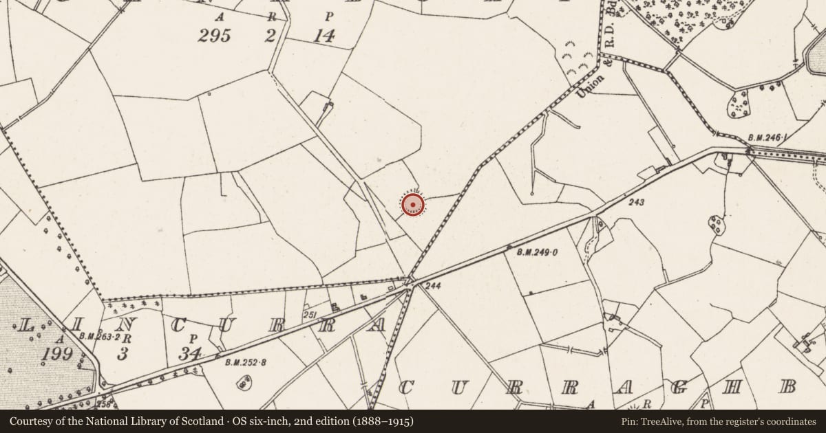 Ordnance Survey six-inch map, 2nd edition (1888–1915) covering the location of Ringfort - rath, Aghnabohy, County Westmeath, with a pin at the register's coordinates