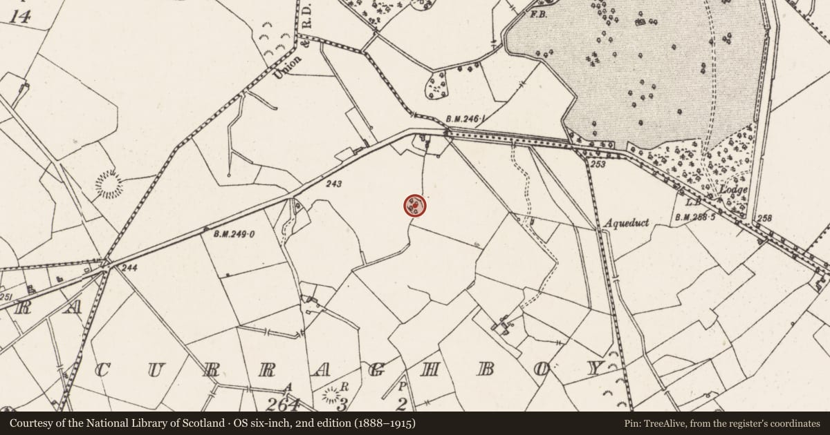 Ordnance Survey six-inch map, 2nd edition (1888–1915) covering the location of Ringfort - rath, Curraghboy, County Westmeath, with a pin at the register's coordinates