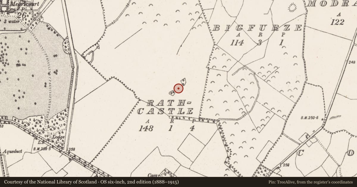 Ordnance Survey six-inch map, 2nd edition (1888–1915) covering the location of Designed landscape - tree-ring, Rathcastle, County Westmeath, with a pin at the register's coordinates