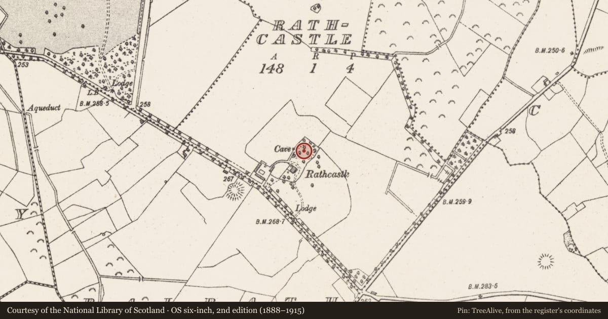 Ordnance Survey six-inch map, 2nd edition (1888–1915) covering the location of Ringfort - rath, Rathcastle, County Westmeath, with a pin at the register's coordinates