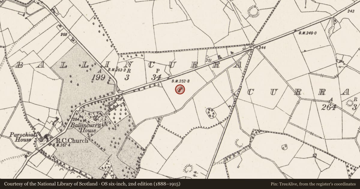 Ordnance Survey six-inch map, 2nd edition (1888–1915) covering the location of Ringfort - rath, Ballincurra, County Westmeath, with a pin at the register's coordinates