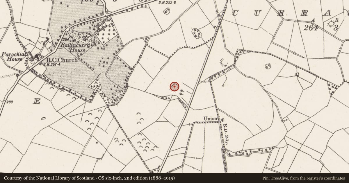 Ordnance Survey six-inch map, 2nd edition (1888–1915) covering the location of Ringfort - rath, Curraghboy, County Westmeath, with a pin at the register's coordinates