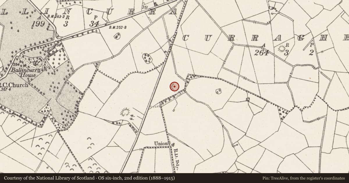 Ordnance Survey six-inch map, 2nd edition (1888–1915) covering the location of Ringfort - rath, Curraghboy, County Westmeath, with a pin at the register's coordinates