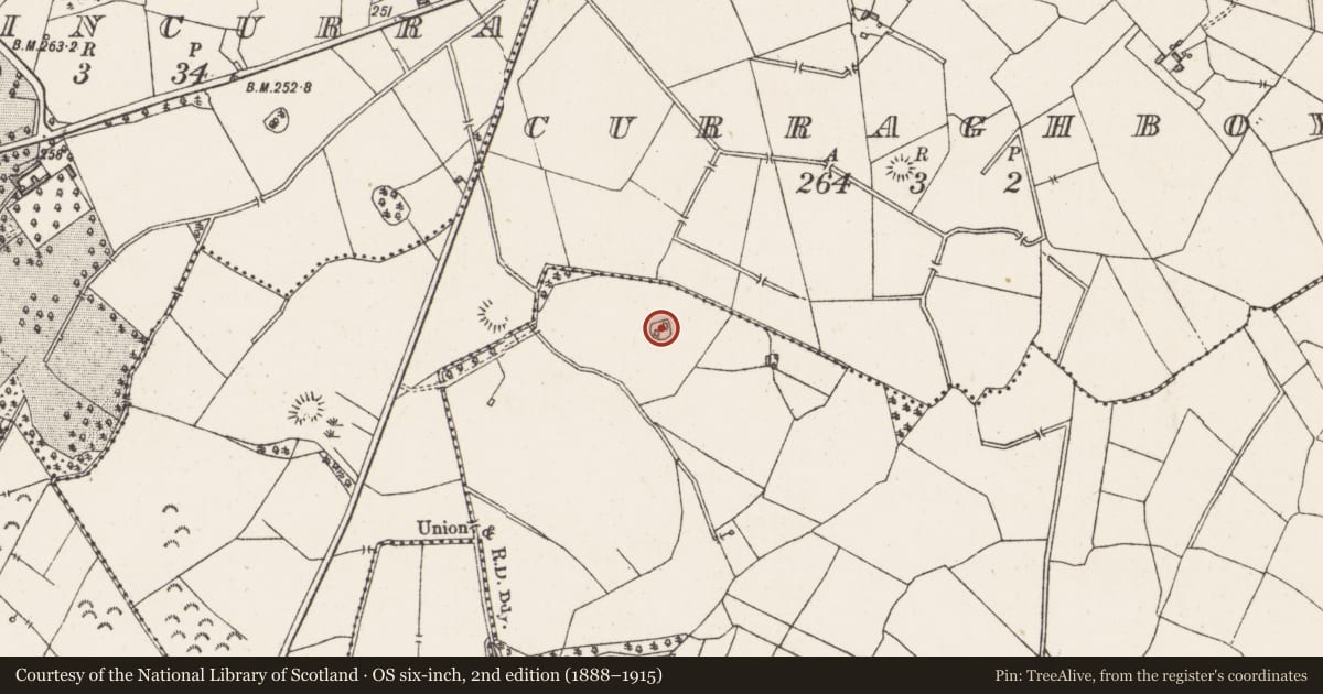 Ordnance Survey six-inch map, 2nd edition (1888–1915) covering the location of Ringfort - rath, Kilgawny, County Westmeath, with a pin at the register's coordinates