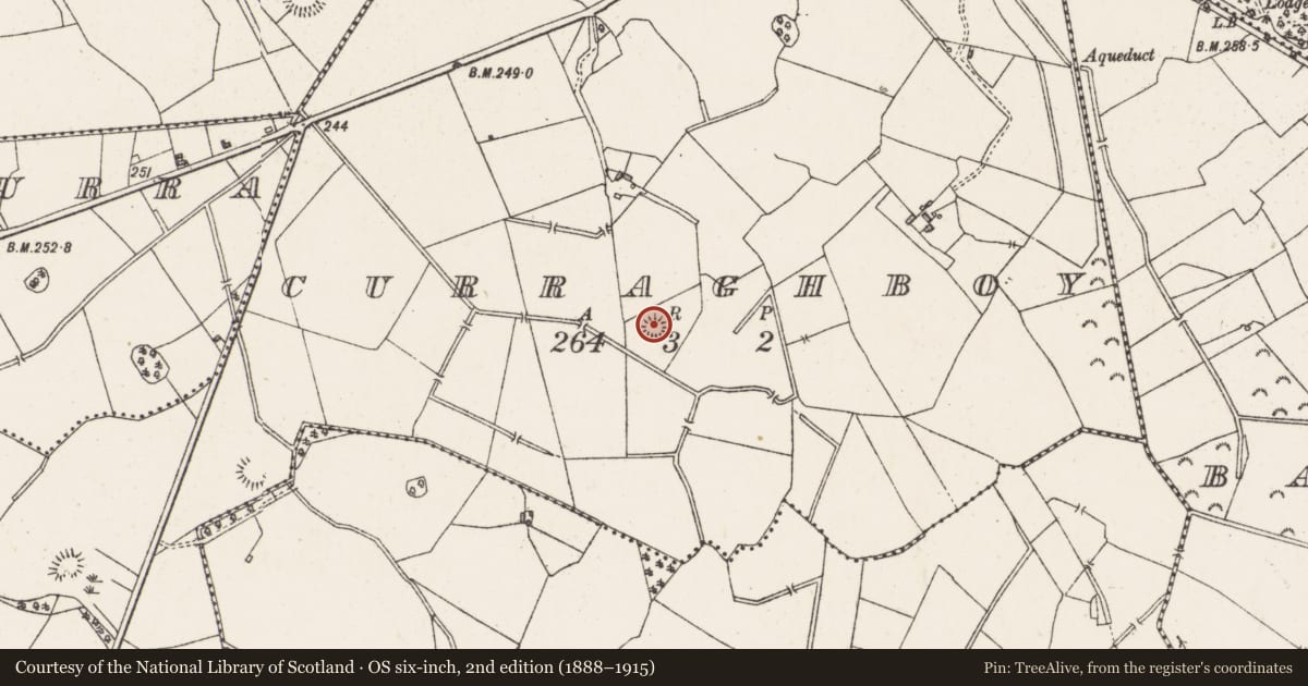 Ordnance Survey six-inch map, 2nd edition (1888–1915) covering the location of Ringfort - unclassified, Curraghboy, County Westmeath, with a pin at the register's coordinates