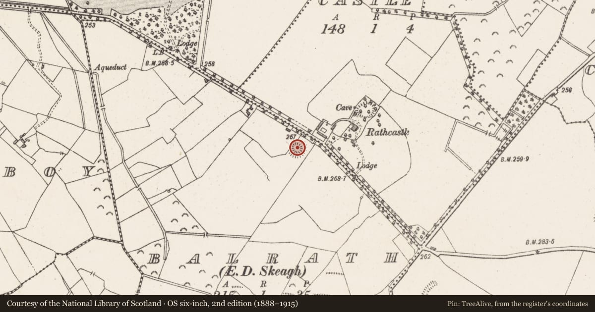 Ordnance Survey six-inch map, 2nd edition (1888–1915) covering the location of Ringfort - rath, Balrath, County Westmeath, with a pin at the register's coordinates