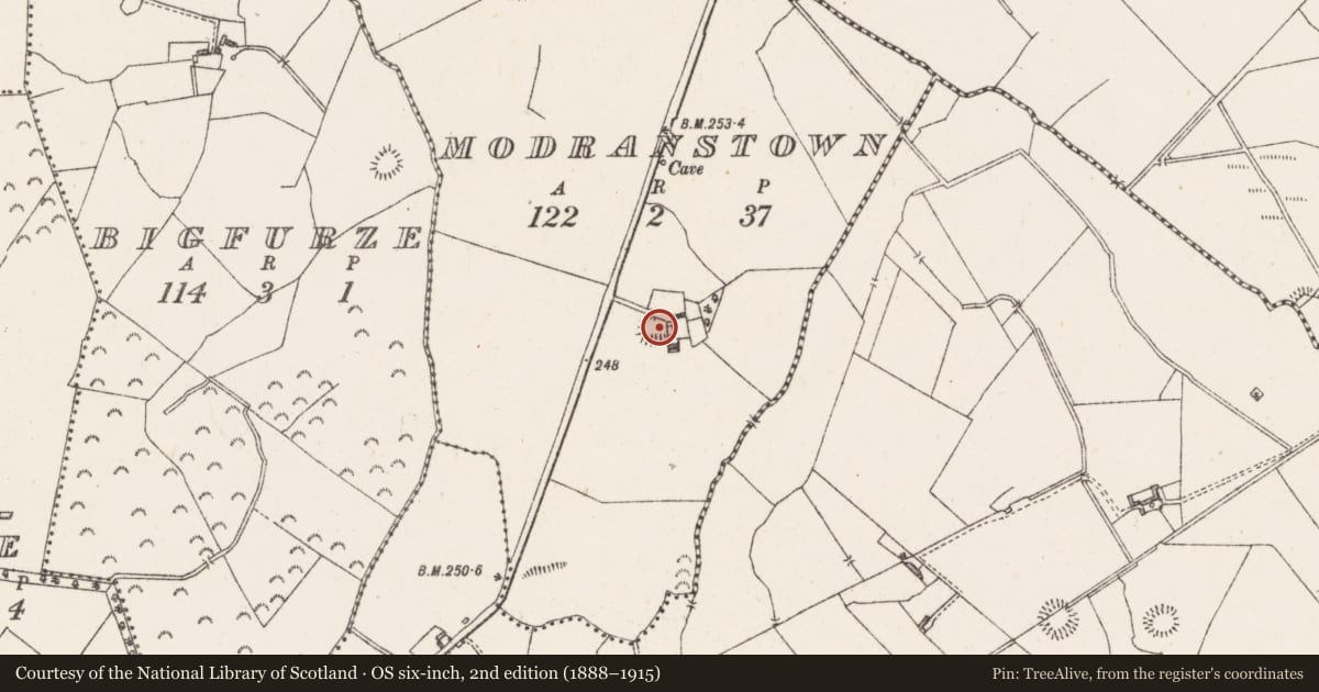 Ordnance Survey six-inch map, 2nd edition (1888–1915) covering the location of Ringfort - rath, Modranstown, County Westmeath, with a pin at the register's coordinates