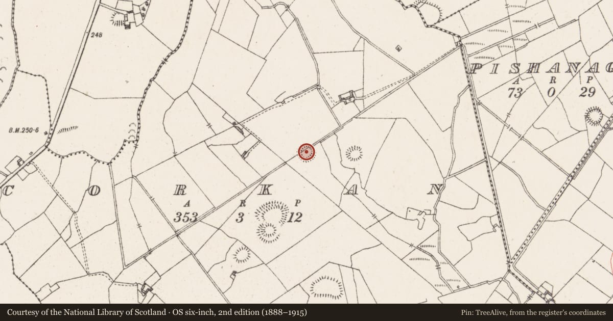 Ordnance Survey six-inch map, 2nd edition (1888–1915) covering the location of Ringfort - rath, Corkan, County Westmeath, with a pin at the register's coordinates