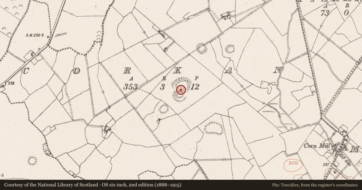 Ordnance Survey six-inch map, 2nd edition (1888–1915) covering the location of Ringfort - rath, Corkan, County Westmeath, with a pin at the register's coordinates