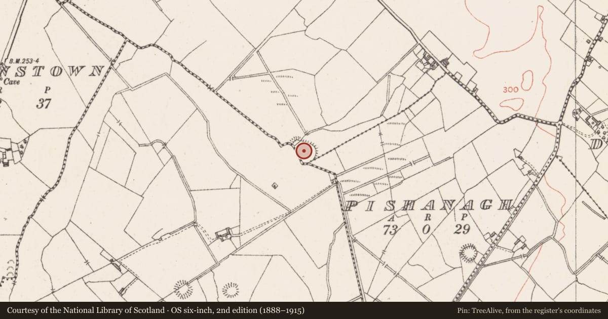 Ordnance Survey six-inch map, 2nd edition (1888–1915) covering the location of Ringfort - rath, Rathduff, County Westmeath, with a pin at the register's coordinates