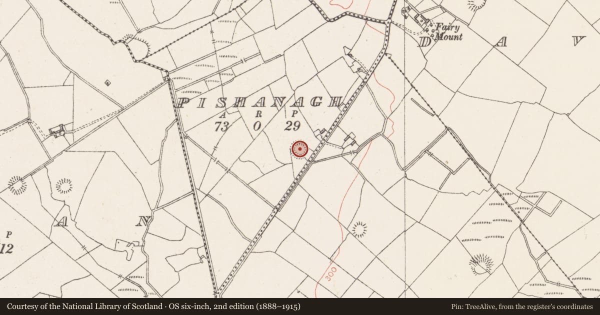 Ordnance Survey six-inch map, 2nd edition (1888–1915) covering the location of Ringfort - rath, Pishanagh, County Westmeath, with a pin at the register's coordinates