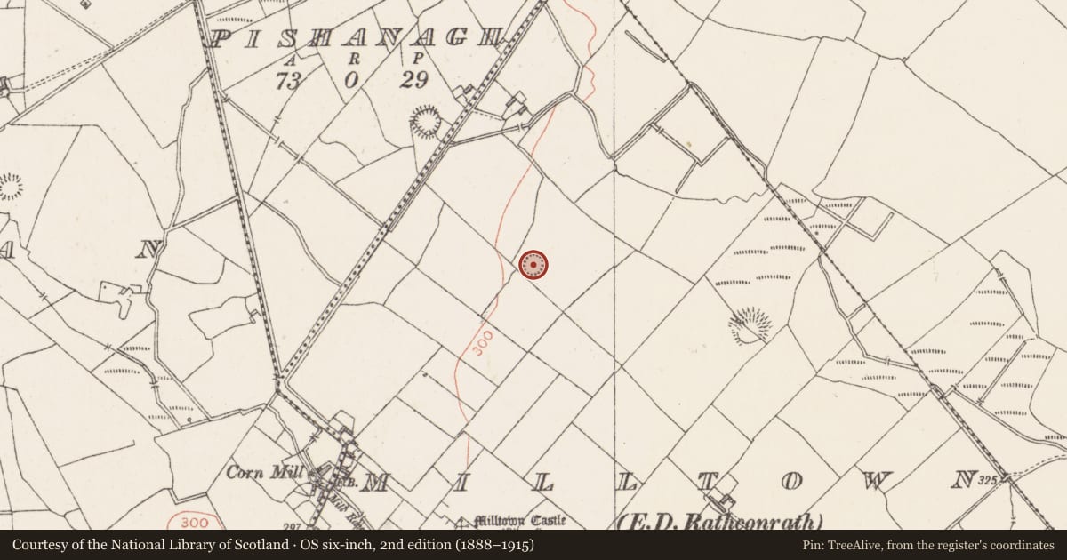 Ordnance Survey six-inch map, 2nd edition (1888–1915) covering the location of Ringfort - rath, Milltown, County Westmeath, with a pin at the register's coordinates