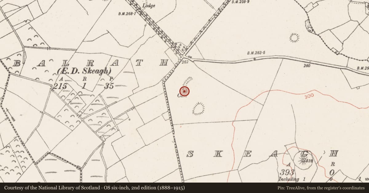 Ordnance Survey six-inch map, 2nd edition (1888–1915) covering the location of Souterrain, Skeagh More, County Westmeath, with a pin at the register's coordinates