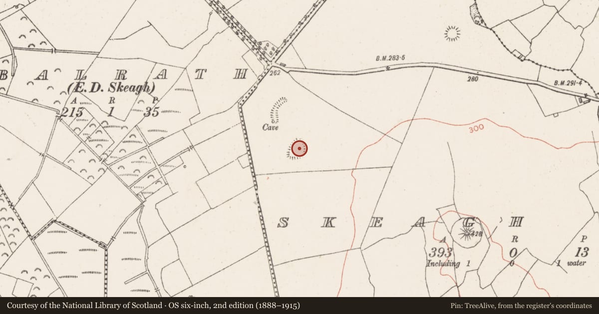 Ordnance Survey six-inch map, 2nd edition (1888–1915) covering the location of Ringfort - rath, Skeagh More, County Westmeath, with a pin at the register's coordinates