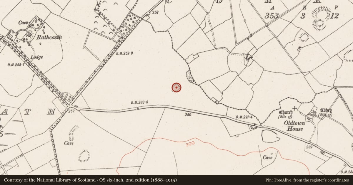 Ordnance Survey six-inch map, 2nd edition (1888–1915) covering the location of Ringfort - unclassified, Skeagh More, County Westmeath, with a pin at the register's coordinates